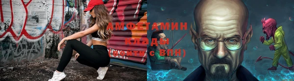 гашик Богданович