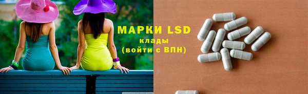 мдпв Богородск