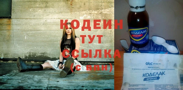 гашик Богданович