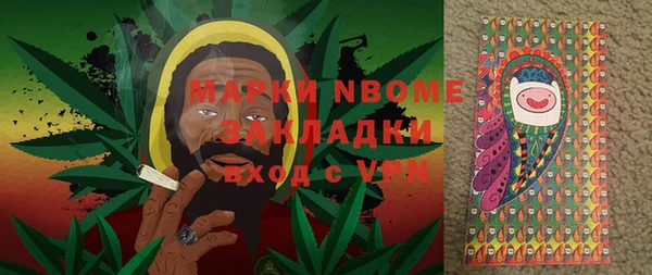 гашик Богданович