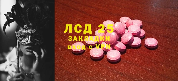 гашик Богданович