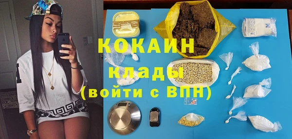 мдпв Богородск