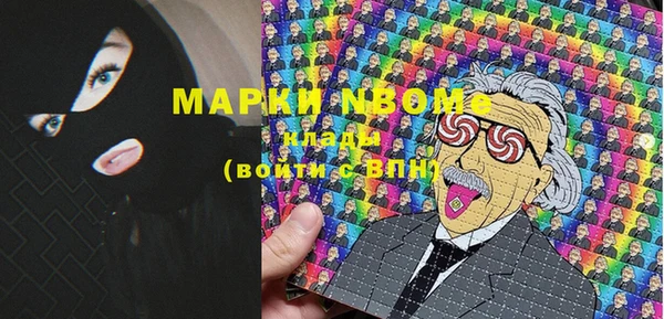 гашик Богданович