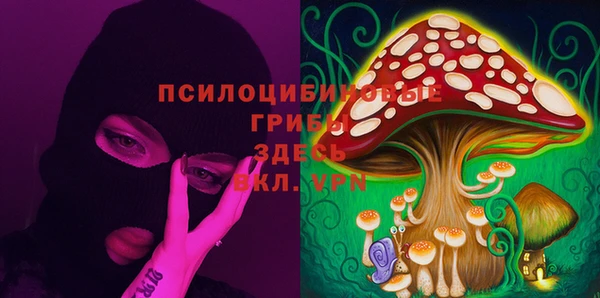 кристаллы Бородино